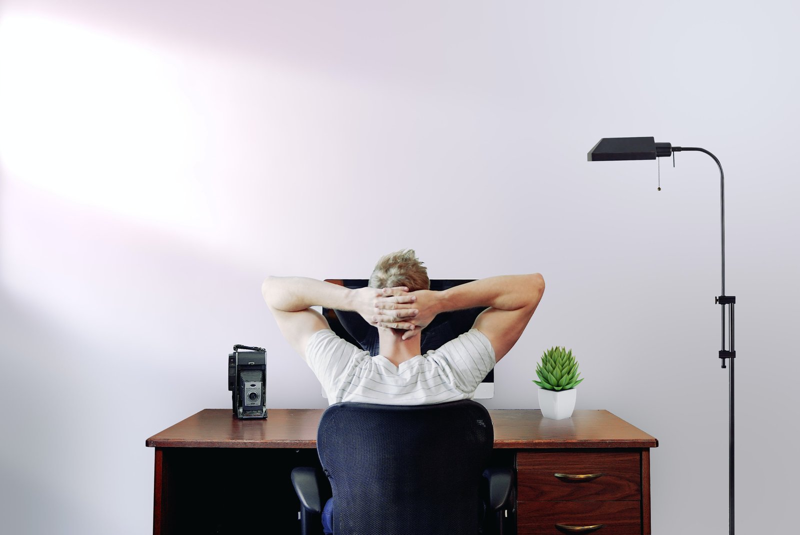 Critical Thinking Skills for writing an Essay Critical Thinking Skills for writing an Essay