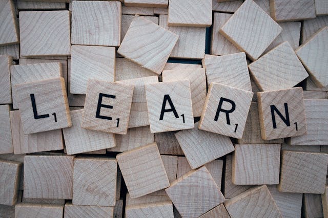 Long transition words for essay writing